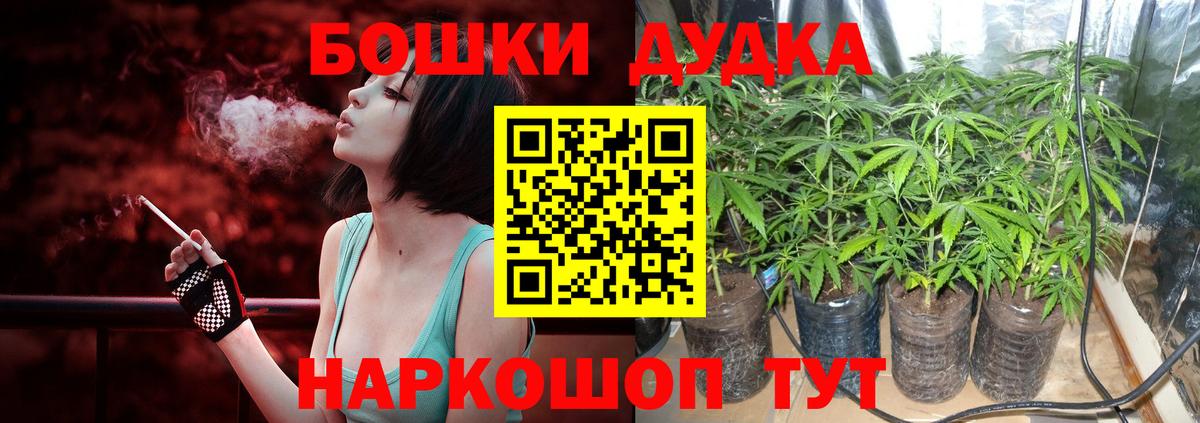 Североуральск  Марихуана Amnesia  Вход с VPN  Бошки марихуана конопля 